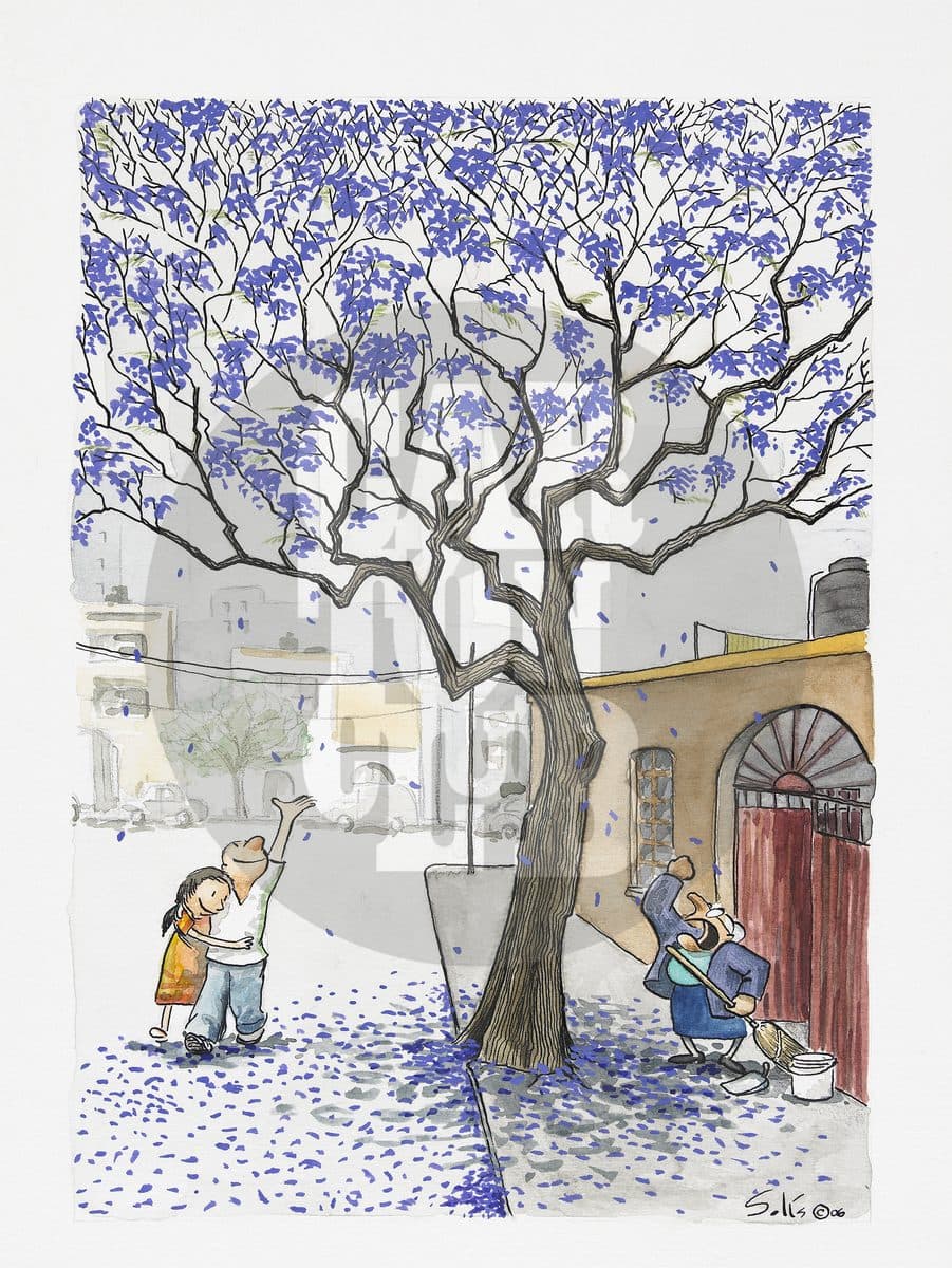 Jacarandas