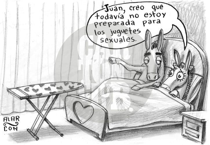 juguetes sexuales