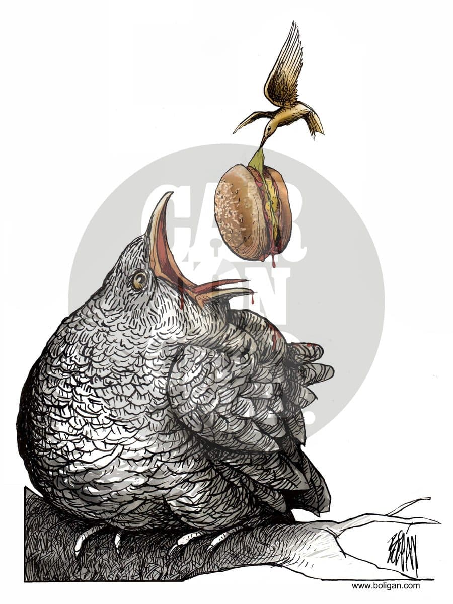 La complacencia de los padres, cartón de Ángel Boligán