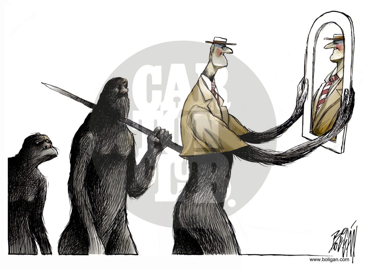 La evolucion y la apariencia