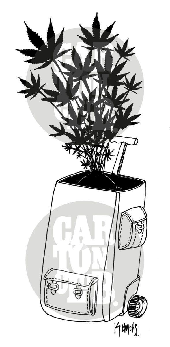 La maceta, cartón de Kemchs
