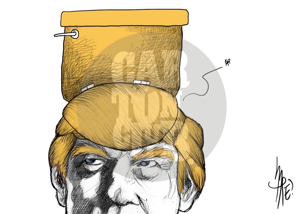 La tapa de sus sesos
