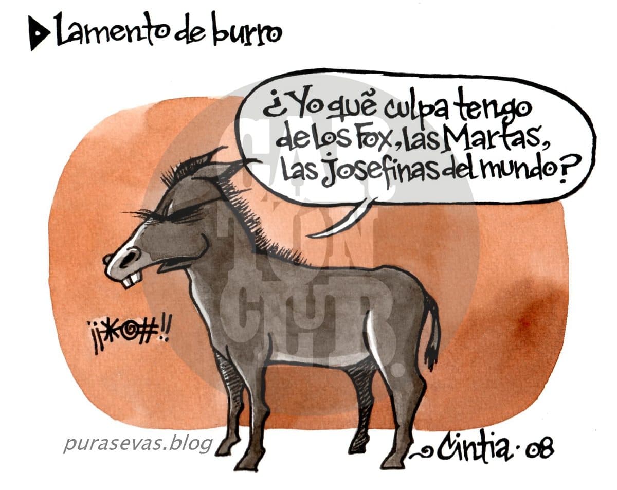 Lamento de burro
