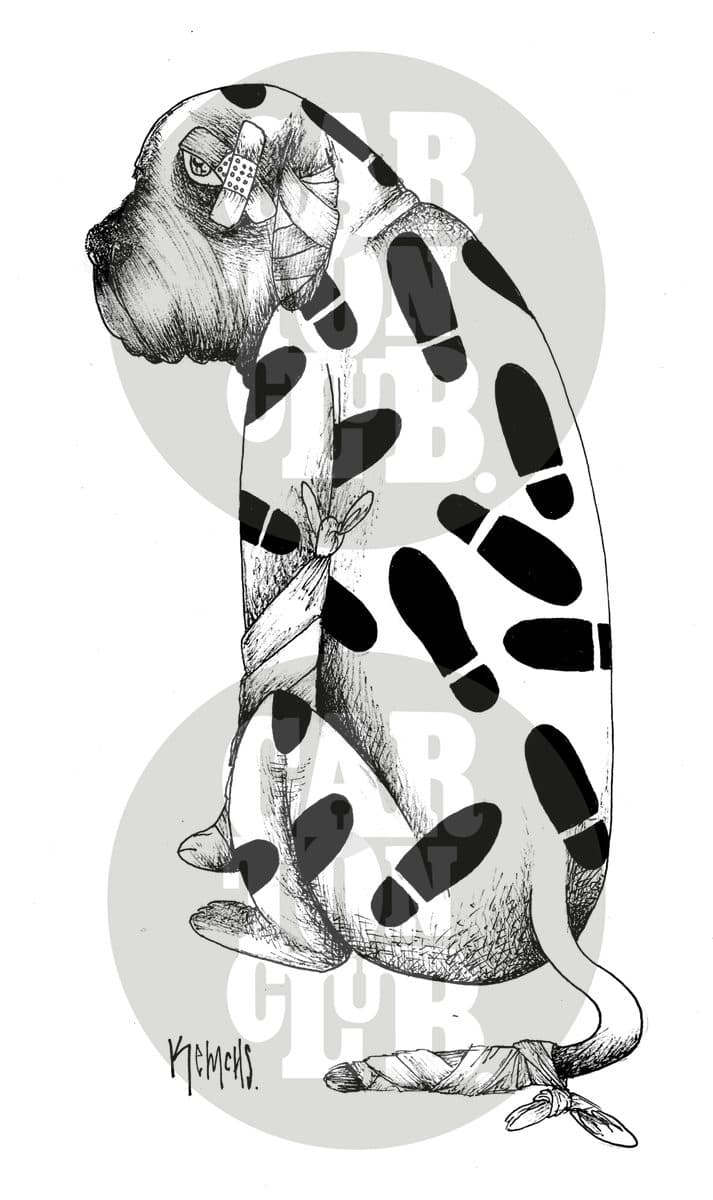 Las manchas de la vida, cartón de Kemchs