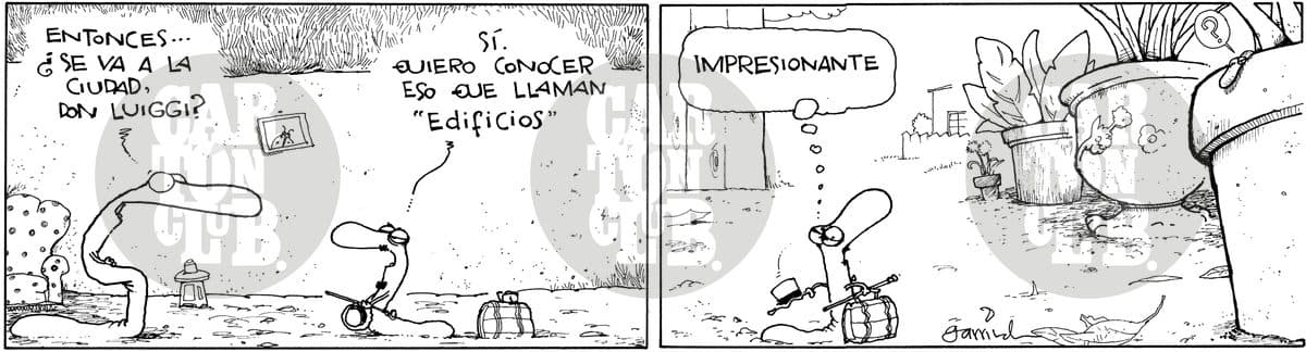 Luiggi edificios