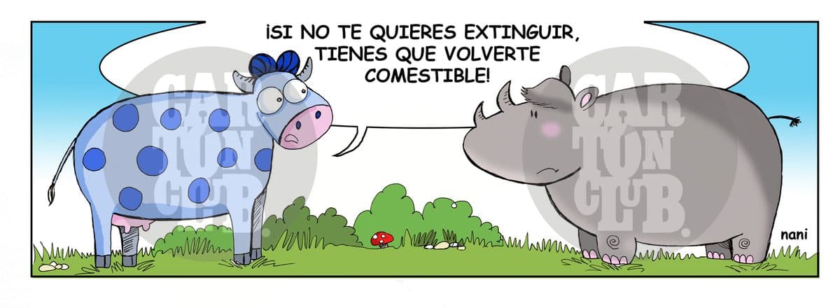 magola 1611, cartón de Nani