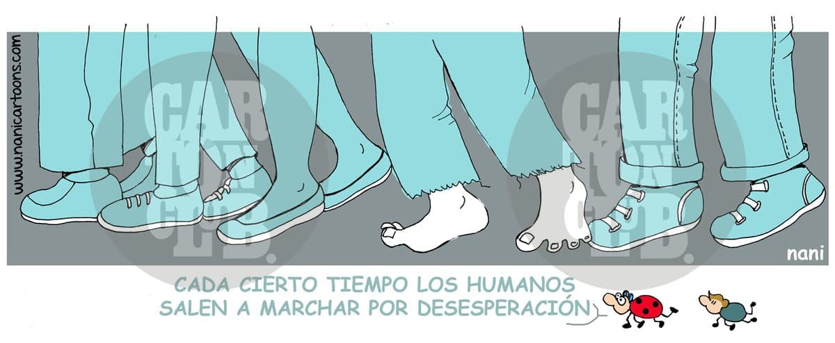magola 2244, cartón de Nani
