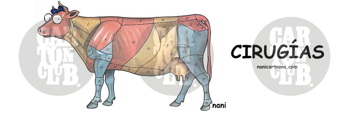 magola 2401, cartón de Nani