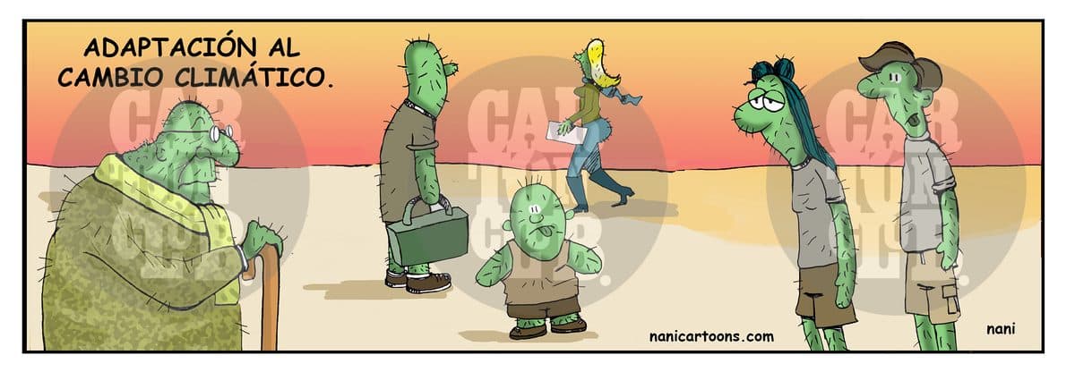 magola 2405, cartón de Nani