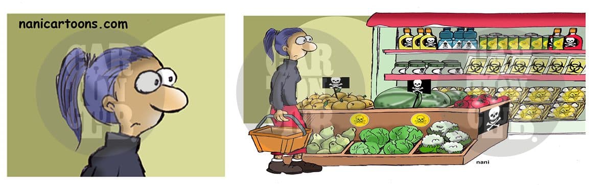 Magola 2496, cartón de Nani