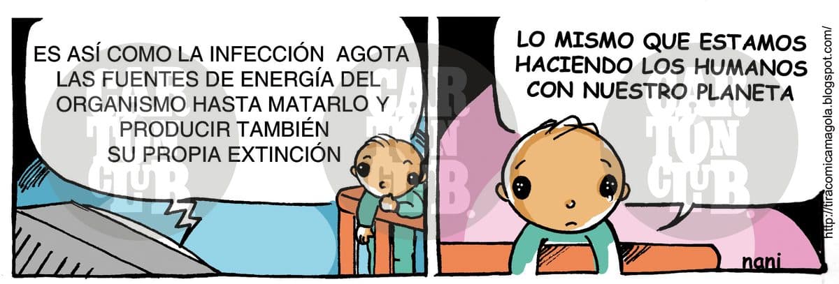 magola 554, nuestro planeta, cartón de Nani