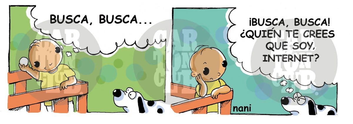 magola 748 internet
