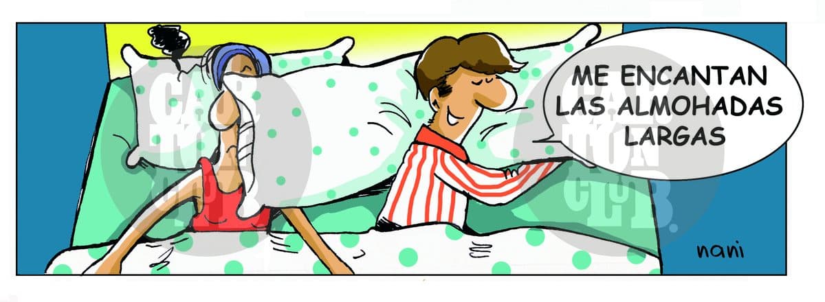 magola almohada