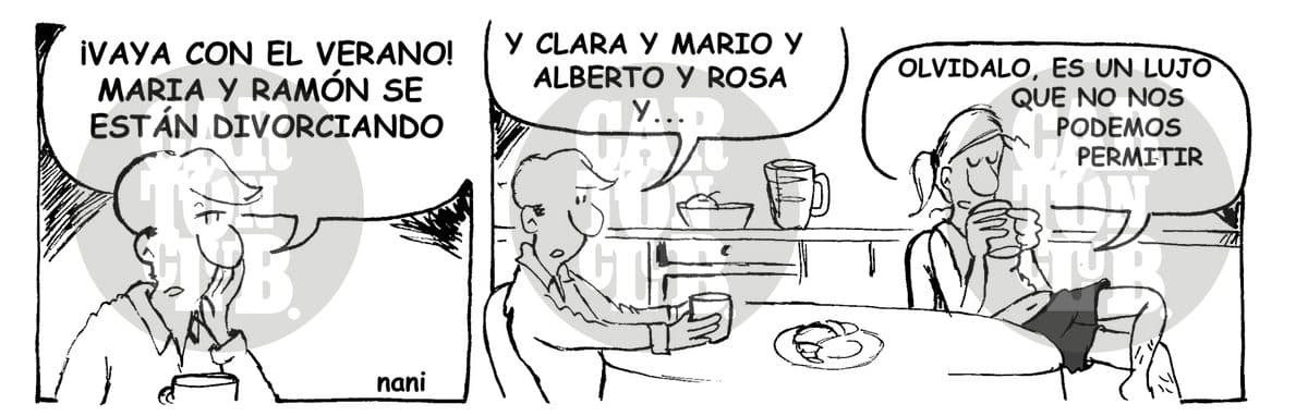 magola divorcio, cartón de Nani