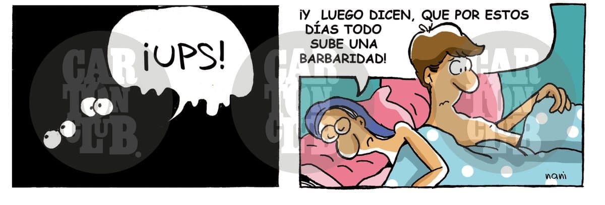 magola precios