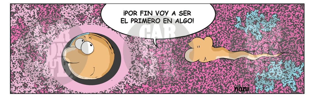 magola reproducción