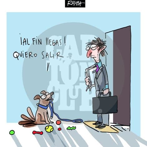 Mascotas