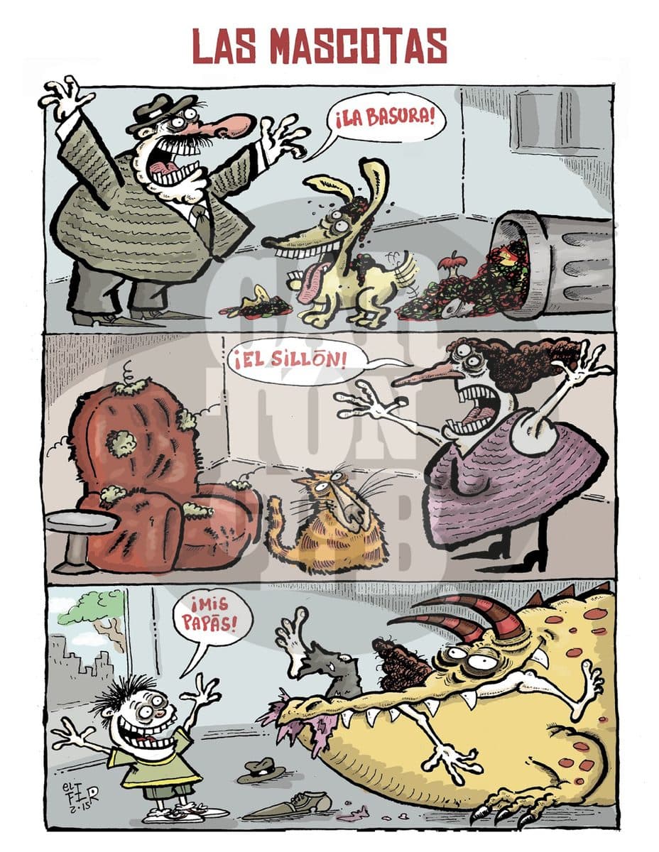 Mascotas