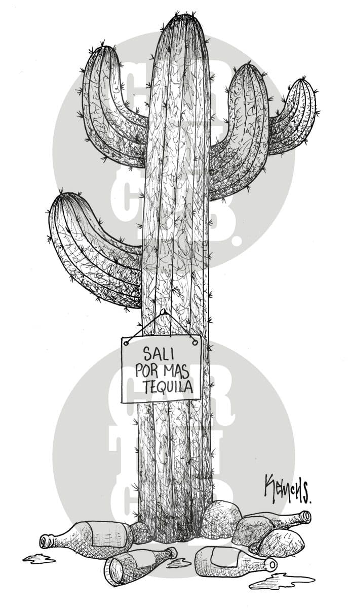 Mes consumo, cartón de Kemchs