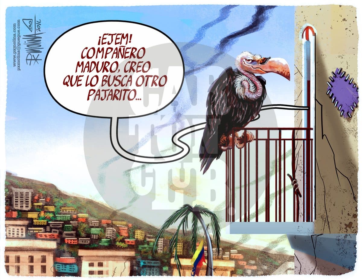 Mientras, en Venezuela..., cartón de PxMolina