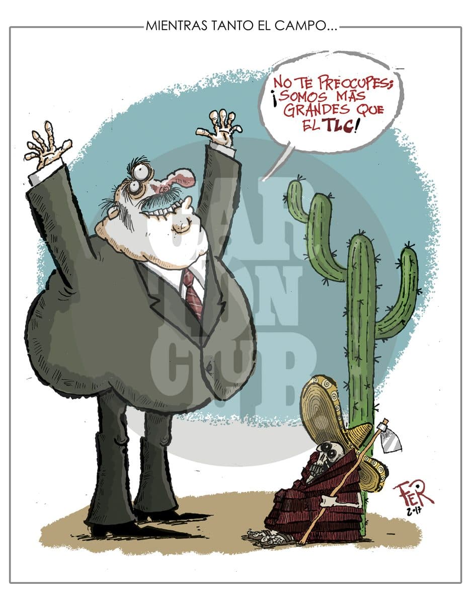 Mientras tanto el campo...