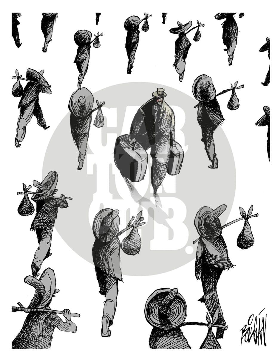 Migración de ida y de vuelta