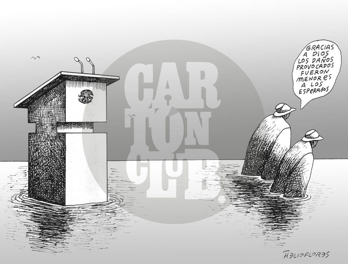 Mini informe