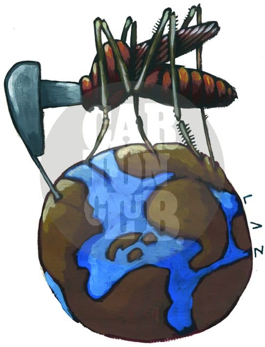 mosquito, cartón de Laz