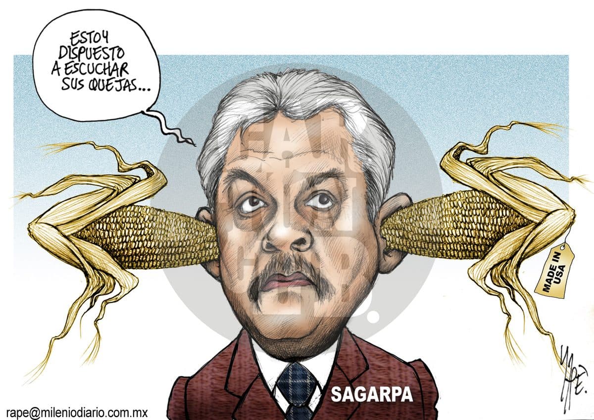 Muy atento, cartón de Rapé