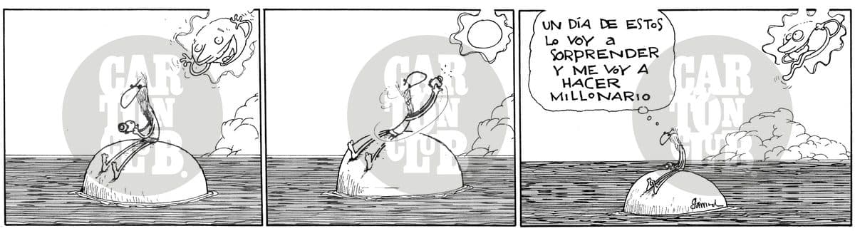 Nau-foto sol
