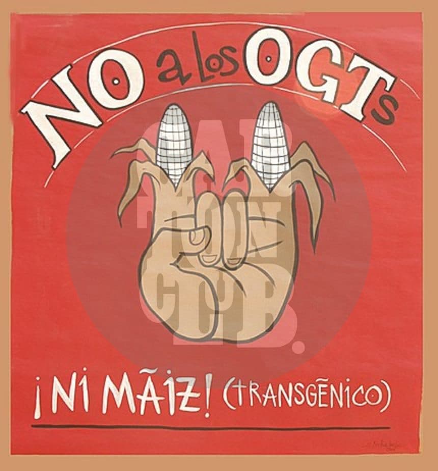 No a los ogts
