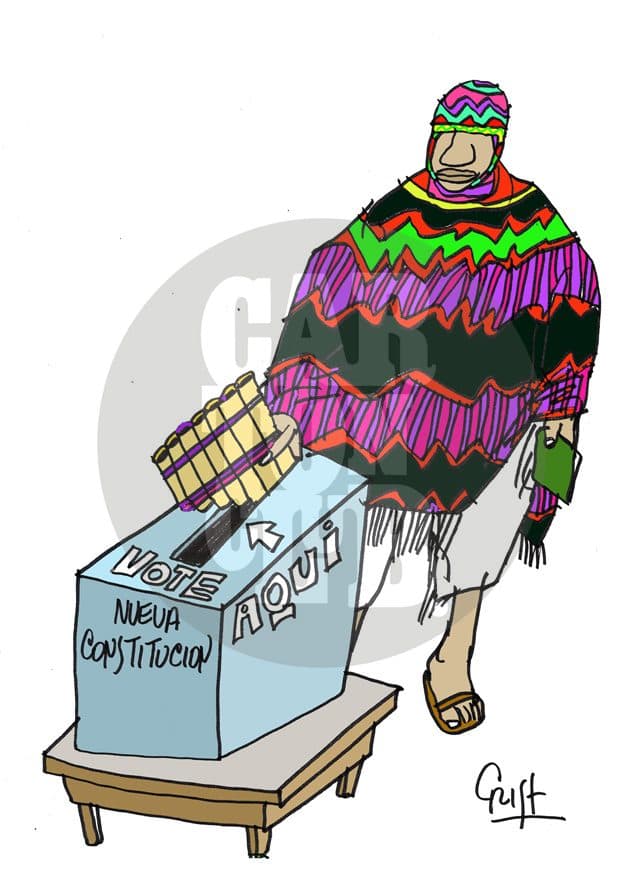 nueva constitucion