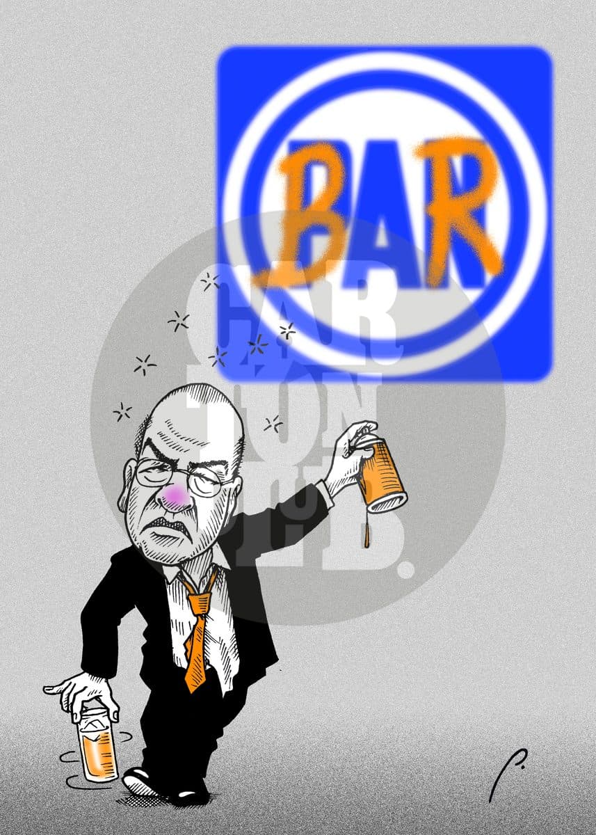 Nuevo partido