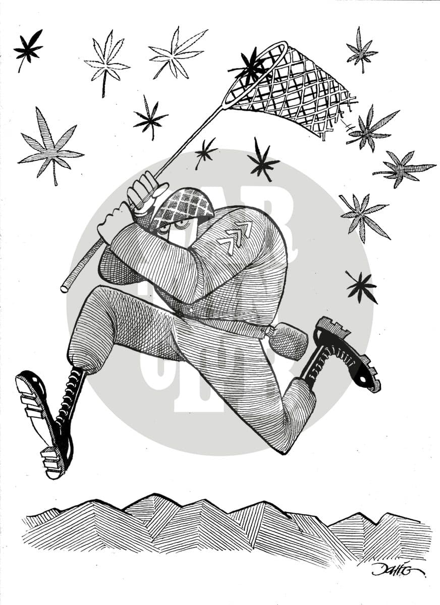 Operativo Tijuana, cartón de Darío Castillejos