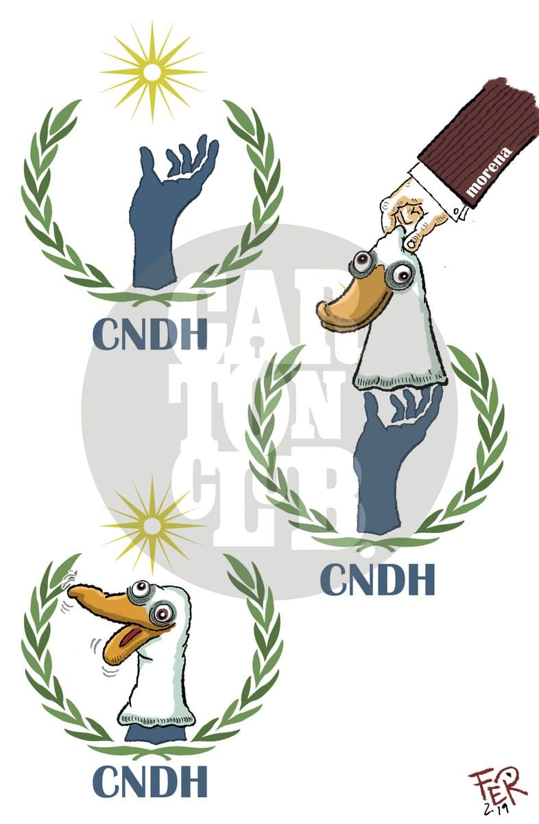 Organismo autónomo