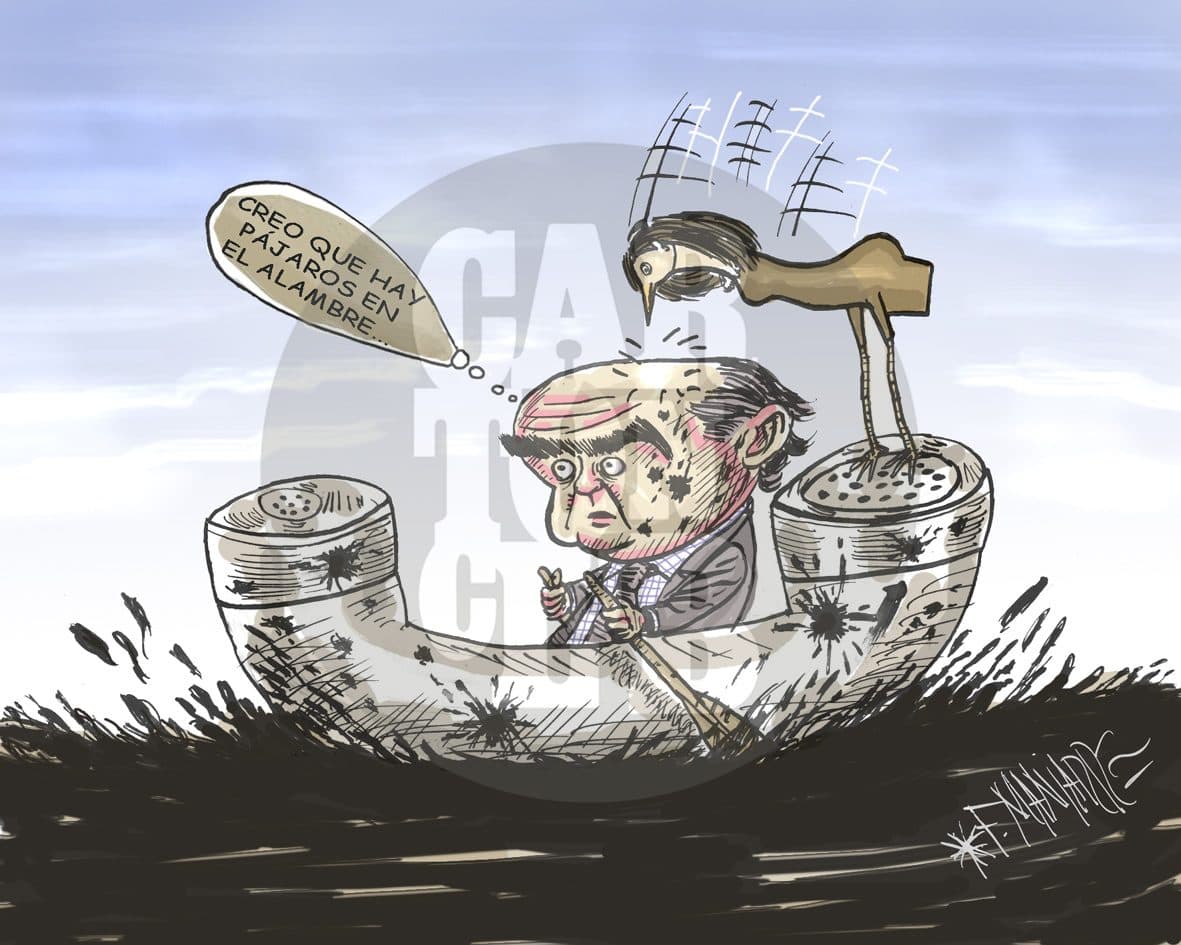 Pájaro Carpinteyro