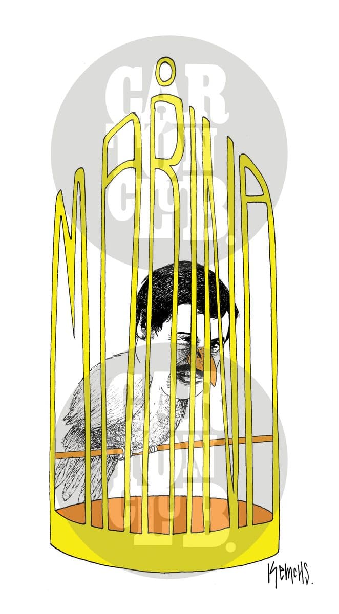 Pájaro de cuenta, cartón de Kemchs