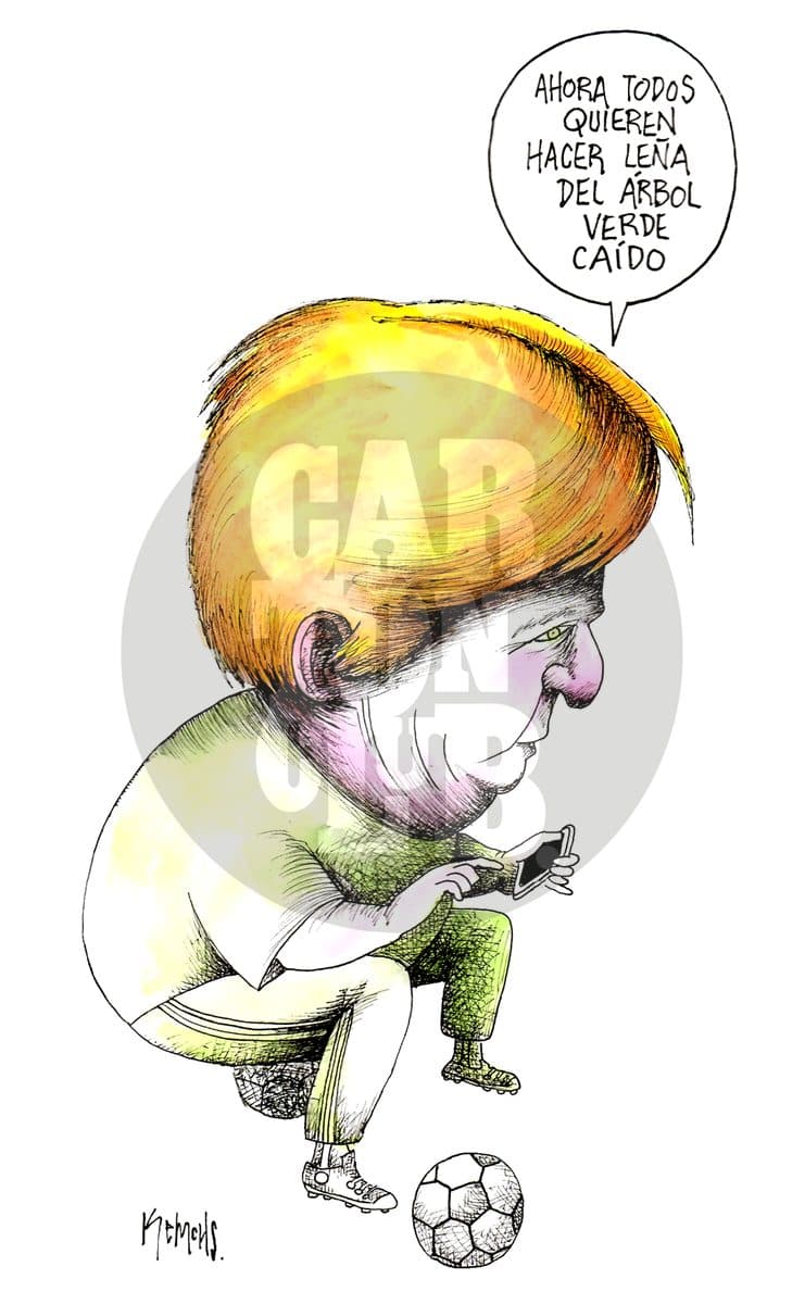 Pájaro de cuenta, cartón de Kemchs