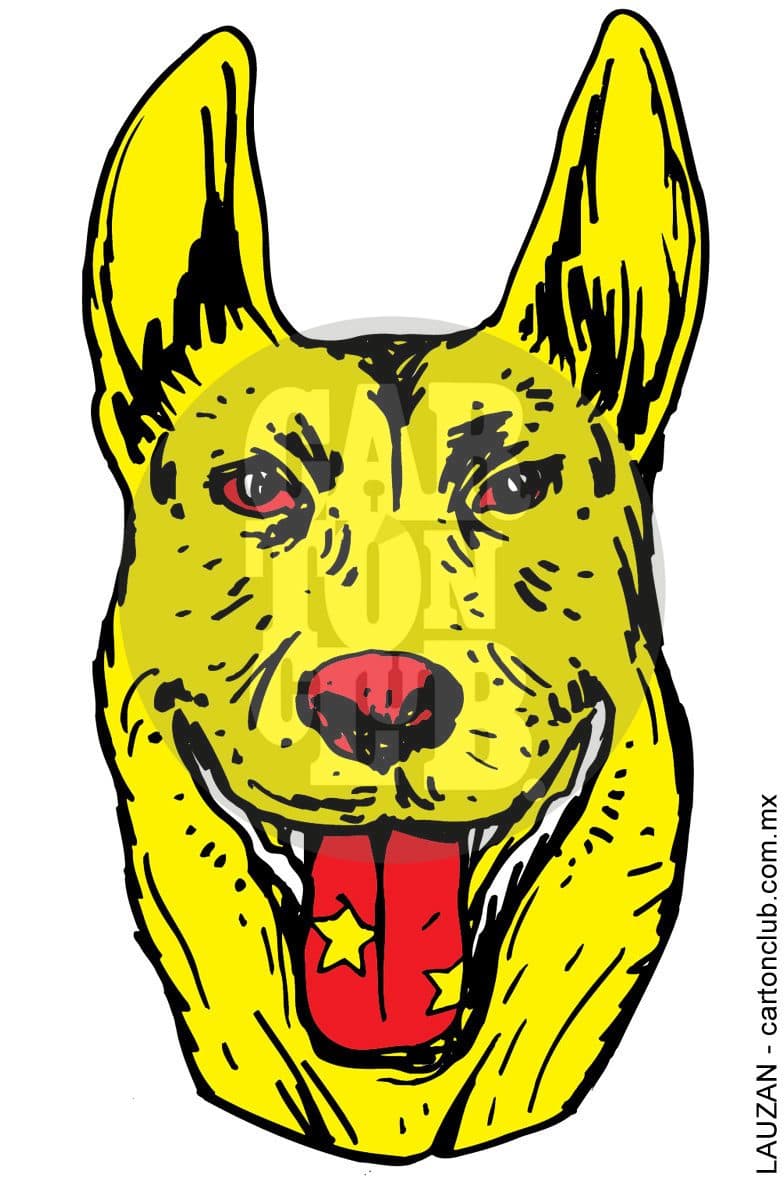 PERRO horóscopo chino