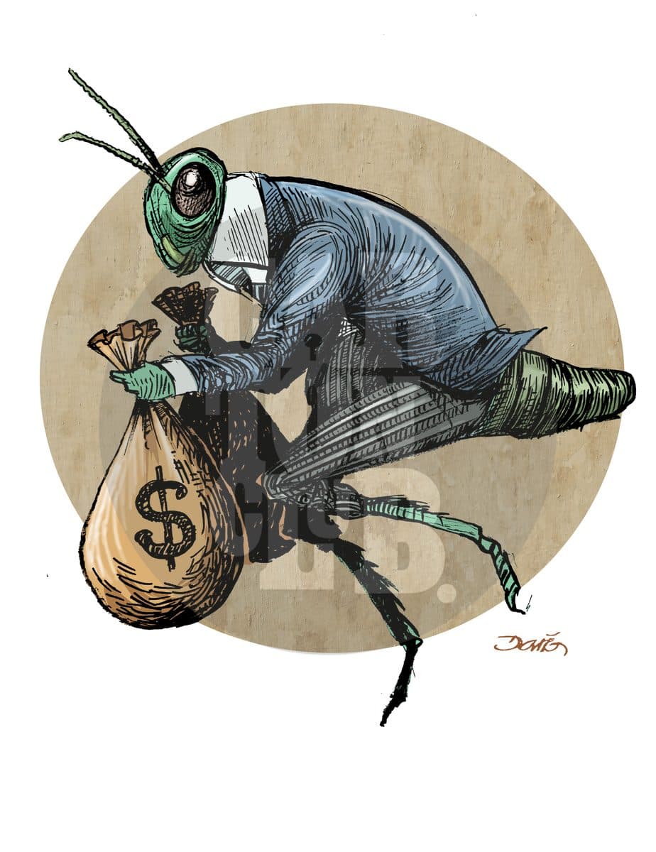 Plaga electoral