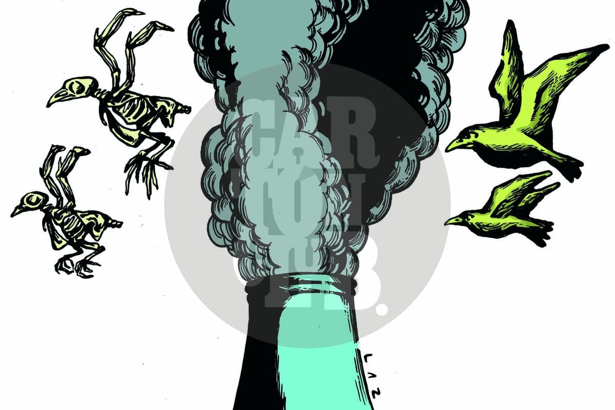 polución, cartón de Laz