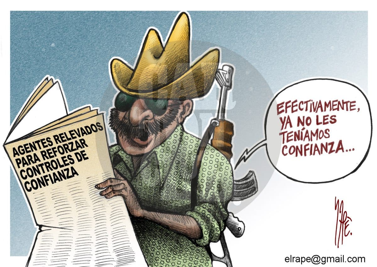 Profesionalización