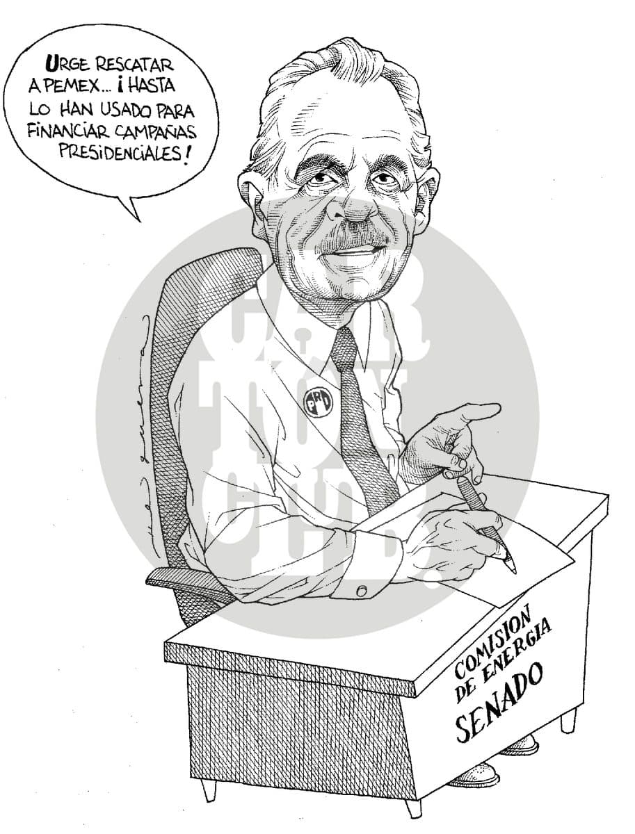 Promotor de la reforma