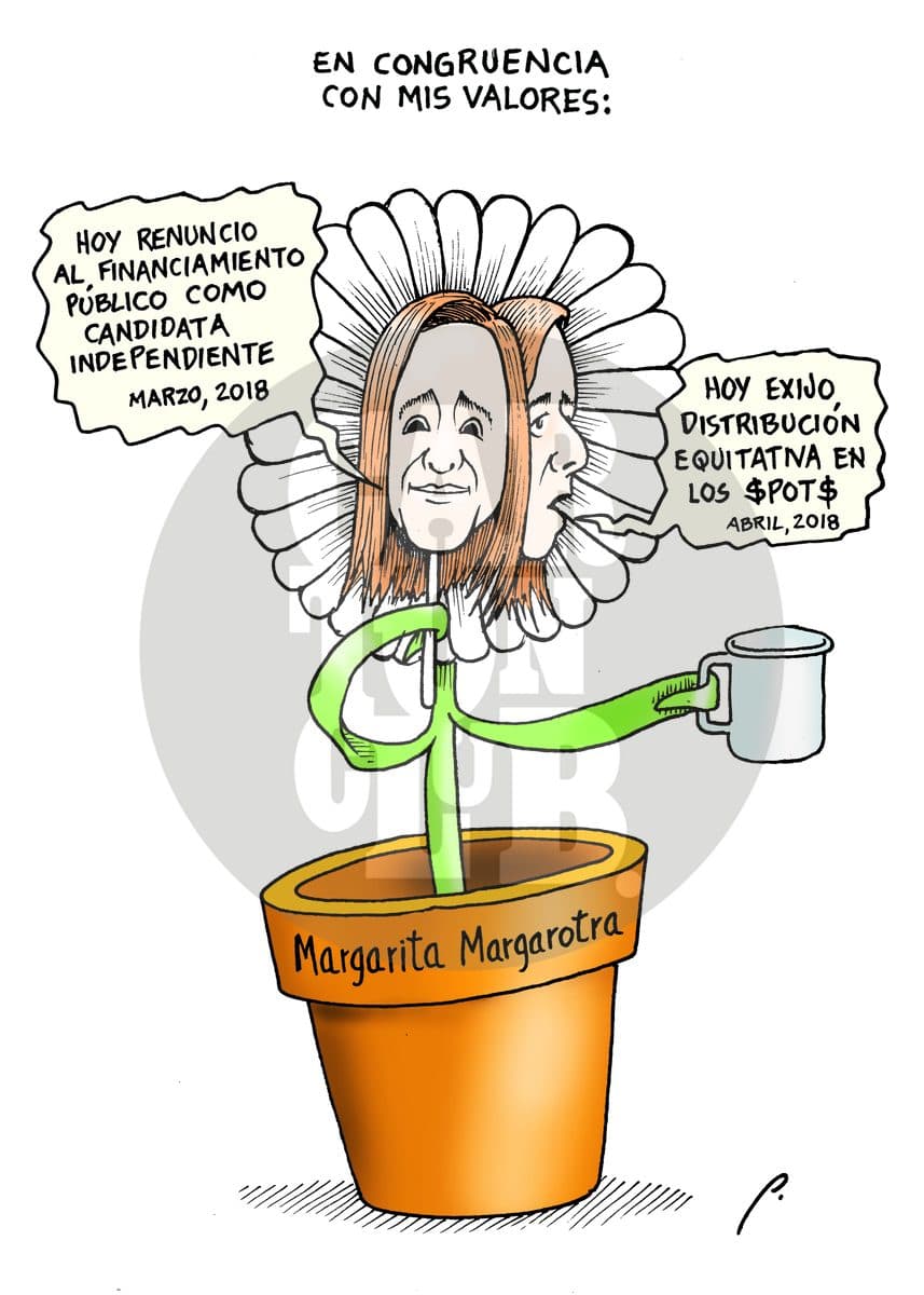 Quiere, no quiere