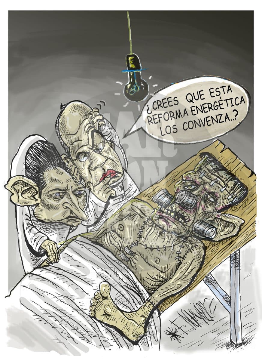 Reforma de pelos