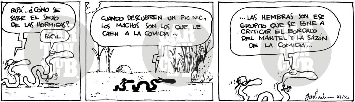 Sexo hormigas