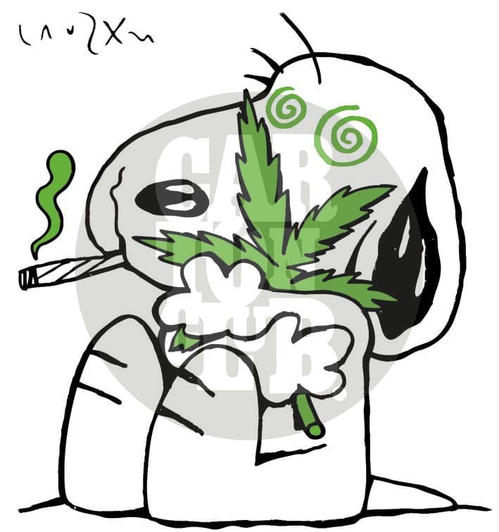 Snoopy Dog