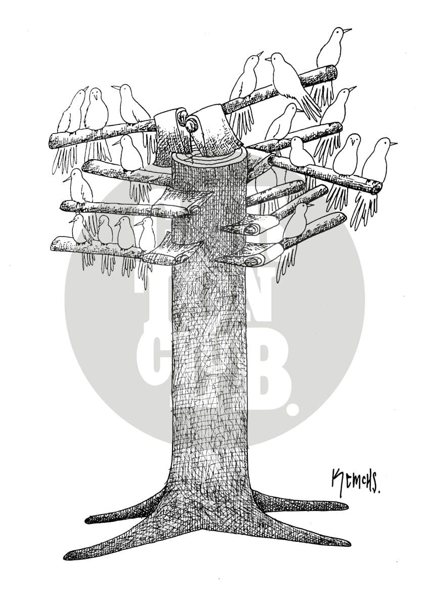 Talavidas, cartón de Kemchs