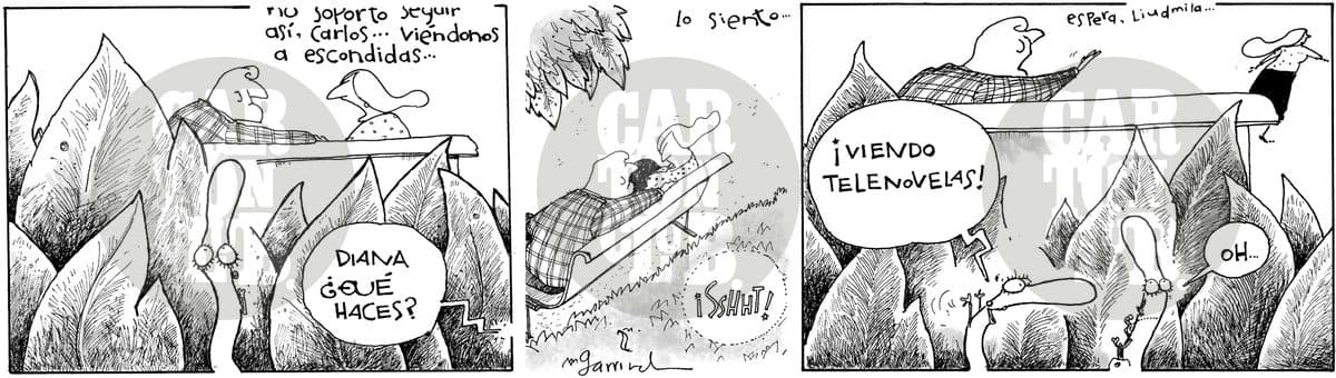 Telenovela park