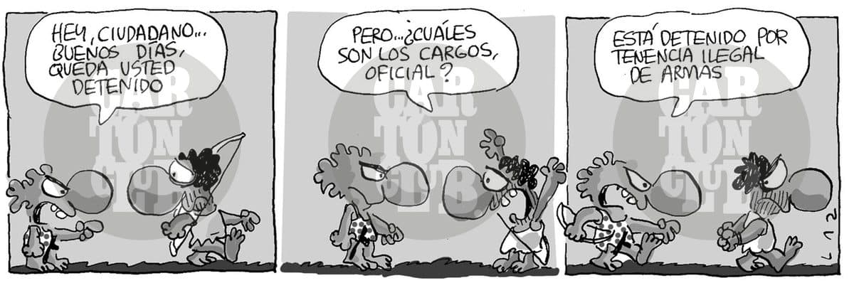 tenencia ilegal